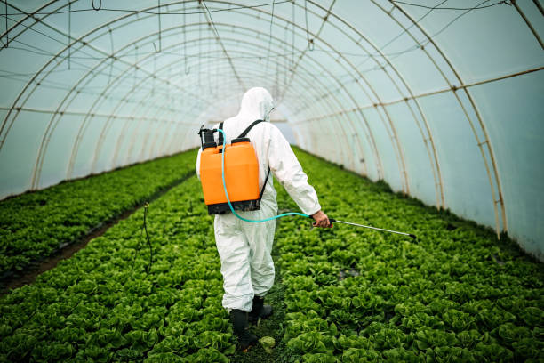 Best Affordable Pest Control Services  in Lenoir, NC